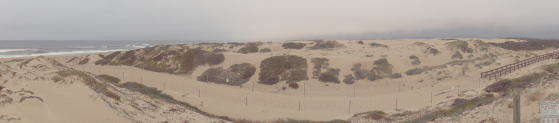 Duinen Guadalupe